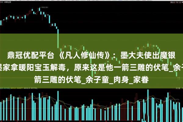 鼎冠优配平台 《凡人修仙传》：墨大夫使出魔银手，让韩立到墨家拿暖阳宝玉解毒，原来这是他一箭三雕的伏笔_余子童_肉身_家眷