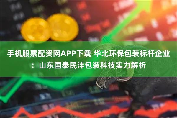 手机股票配资网APP下载 华北环保包装标杆企业：山东国泰民沣包装科技实力解析